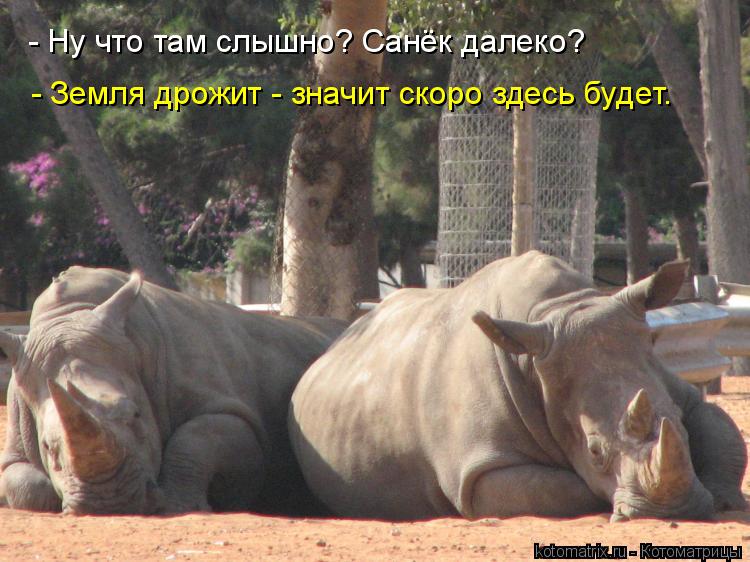 - Ну что там слышно? Санёк далеко? - Земля дрожит - значит скоро здесь будет.... Котоматрица: - Ну что там слышно? Санёк далеко? - Земля дрожит - значит скоро здесь будет.