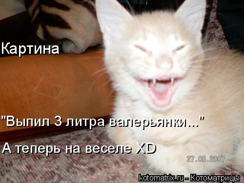 Картина "Выпил 3 литра валерьянки..." А теперь на веселе XD... Котоматрица: Картина "Выпил 3 литра валерьянки..." А теперь на веселе XD