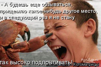 - А будешь еще обзываться, прищемлю какое-нибудь другое место, и в следующий раз я не стану так высо... Котоматрица: - А будешь еще обзываться, прищемлю какое-нибудь другое место, и в следующий раз я не стану так высоко подпрыгивать!