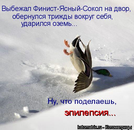 Выбежал Финист-Ясный-Сокол на двор, обернулся трижды вокруг себя, ударился оземь... Ну, что поделаешь... Котоматрица: Выбежал Финист-Ясный-Сокол на двор, обернулся трижды вокруг себя, ударился оземь... Ну, что поделаешь, эпилепсия...