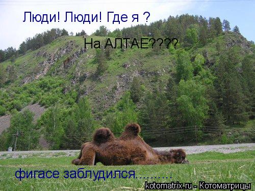 Люди! Люди! Где я ? На АЛТАЕ???? фигасе заблудился............. Котоматрица: Люди! Люди! Где я ? На АЛТАЕ???? фигасе заблудился..........