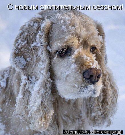 С новым отопительным сезоном!... Котоматрица: С новым отопительным сезоном!