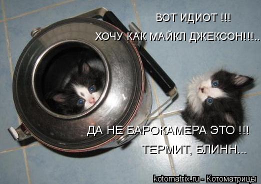 ВОТ ИДИОТ !!! ХОЧУ КАК МАЙКЛ ДЖЕКСОН!!!... ДА НЕ БАРОКАМЕРА ЭТО !!! ТЕРМИТ, БЛИНН...... Котоматрица: ВОТ ИДИОТ !!! ХОЧУ КАК МАЙКЛ ДЖЕКСОН!!!... ДА НЕ БАРОКАМЕРА ЭТО !!! ТЕРМИТ, БЛИНН...