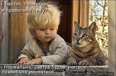 - Барсик, посмотри, я правильно лежу? - Нормально. Завтра будем учиться правильно умываться.... Котоматрица: - Барсик, посмотри, я правильно лежу? - Нормально. Завтра будем учиться правильно умываться.