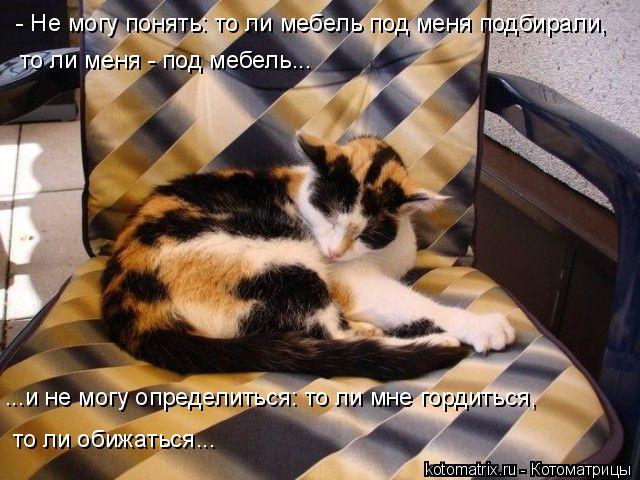- Не могу понять: то ли мебель под меня подбирали, то ли меня - под мебель... ...и не могу определит... Котоматрица: - Не могу понять: то ли мебель под меня подбирали, то ли меня - под мебель... ...и не могу определиться: то ли мне гордиться, то ли обижаться...