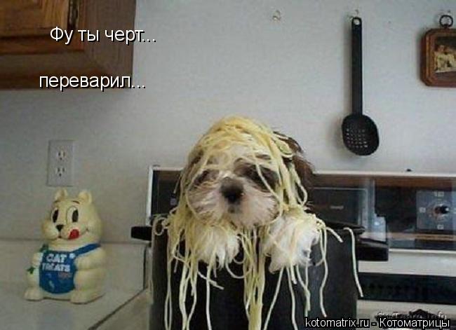 Фу ты черт... переварил...... Котоматрица: Фу ты черт... переварил...