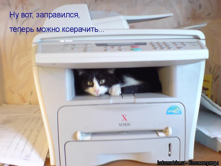 Ну вот, заправился, теперь можно ксерачить...... Котоматрица: Ну вот, заправился, теперь можно ксерачить...