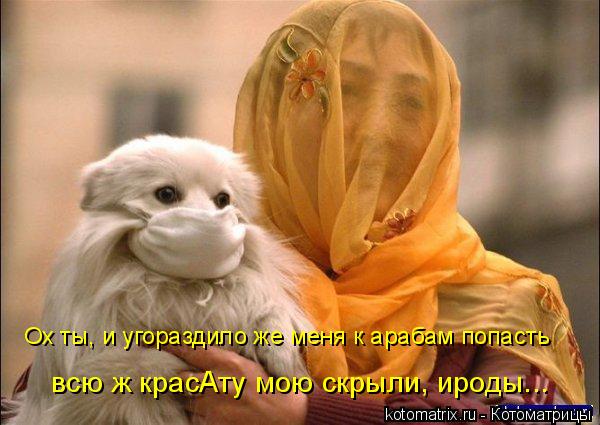 Ох ты, и угораздило же меня к арабам попасть всю ж красАту мою скрыли, ироды...... Котоматрица: Ох ты, и угораздило же меня к арабам попасть всю ж красАту мою скрыли, ироды...