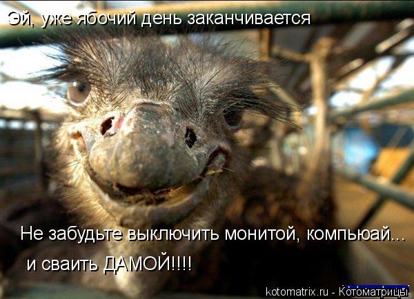 Эй, уже ябочий день заканчивается и сваить ДАМОЙ!!!! Не забудьте выключить монитой, компьюай...... Котоматрица: Эй, уже ябочий день заканчивается и сваить ДАМОЙ!!!! Не забудьте выключить монитой, компьюай...