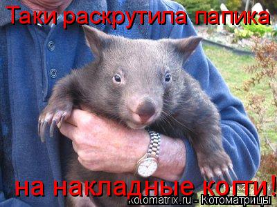 Таки раскрутила папика на накладные когти!... Котоматрица: Таки раскрутила папика на накладные когти!