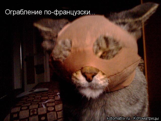 Ограбление по-французски...... Котоматрица: Ограбление по-французски...