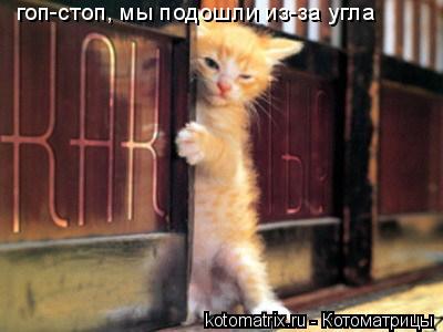 гоп-стоп, мы подошли из-за угла... Котоматрица: гоп-стоп, мы подошли из-за угла