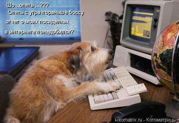Шо...опять ...??? Опять с утра пораньше боссу отчет о моих посиделках в интернете понадобился?... Котоматрица: Шо...опять ...??? Опять с утра пораньше боссу отчет о моих посиделках в интернете понадобился?
