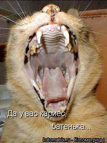 Да у вас кариес, батенька...... Котоматрица: Да у вас кариес, батенька...