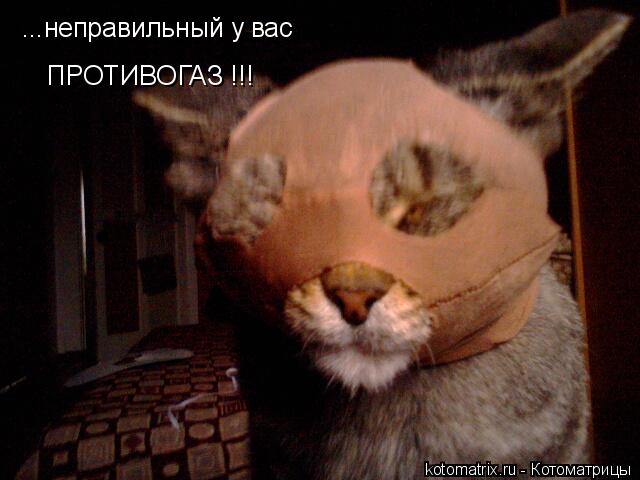 ...неправильный у вас ПРОТИВОГАЗ !!!... Котоматрица: ...неправильный у вас ПРОТИВОГАЗ !!!