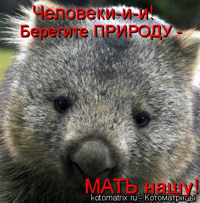 Человеки-и-и! Берегите ПРИРОДУ - МАТЬ нашу!... Котоматрица: Человеки-и-и! Берегите ПРИРОДУ - МАТЬ нашу!