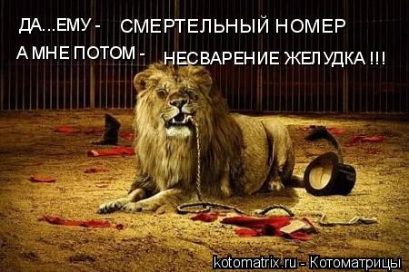 ДА...ЕМУ - СМЕРТЕЛЬНЫЙ НОМЕР А МНЕ ПОТОМ - НЕСВАРЕНИЕ ЖЕЛУДКА !!!... Котоматрица: ДА...ЕМУ - СМЕРТЕЛЬНЫЙ НОМЕР А МНЕ ПОТОМ - НЕСВАРЕНИЕ ЖЕЛУДКА !!!