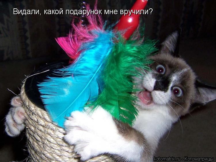 Видали, какой подарунок мне вручили?... Котоматрица: Видали, какой подарунок мне вручили?