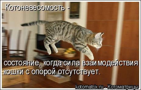 Котоневесомость - состояние, когда сила взаимодействия кошки с опорой отсутствует.... Котоматрица: Котоневесомость - состояние, когда сила взаимодействия кошки с опорой отсутствует.
