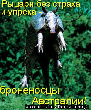 Рыцари без страха и упрёка - броненосцы Австралии!... Котоматрица: Рыцари без страха и упрёка - броненосцы Австралии!