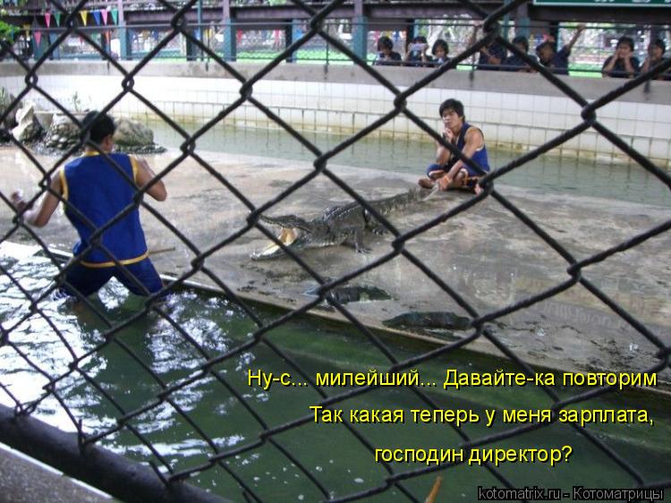 Ну-с... милейший... Давайте-ка повторим Так какая теперь у меня зарплата, господин директор?... Котоматрица: Ну-с... милейший... Давайте-ка повторим Так какая теперь у меня зарплата, господин директор?