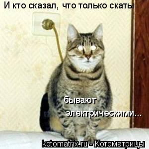 электрическими... бывают И кто сказал, что только скаты... Котоматрица: электрическими... бывают И кто сказал, что только скаты