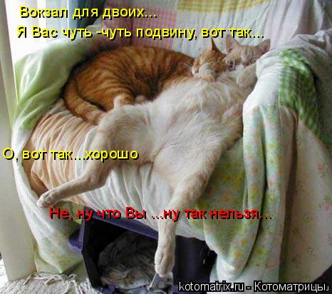 Вокзал для двоих... Я Вас чуть -чуть подвину, вот так... О, вот так...хорошо Не, ну что Вы ...ну так ... Котоматрица: Вокзал для двоих... Я Вас чуть -чуть подвину, вот так... О, вот так...хорошо Не, ну что Вы ...ну так нельзя...