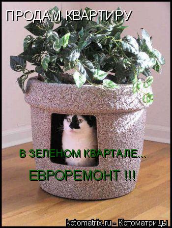 ПРОДАМ КВАРТИРУ В ЗЕЛЕНОМ КВАРТАЛЕ... ЕВРОРЕМОНТ !!!... Котоматрица: ПРОДАМ КВАРТИРУ В ЗЕЛЕНОМ КВАРТАЛЕ... ЕВРОРЕМОНТ !!!