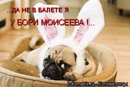 ...ДА НЕ В БАЛЕТЕ Я У БОРИ МОИСЕЕВА !...... Котоматрица: ...ДА НЕ В БАЛЕТЕ Я У БОРИ МОИСЕЕВА !...