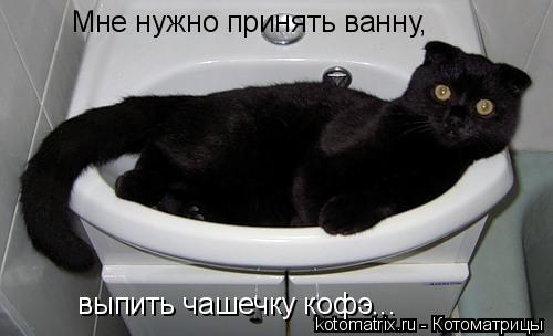 Котоматрица: Мне нужно принять ванну, выпить чашечку кофэ...