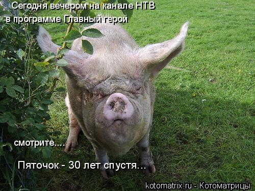 Пяточок - 30 лет спустя... Сегодня вечером на канале НТВ в программе Главный герой смотрите....... Котоматрица: Пяточок - 30 лет спустя... Сегодня вечером на канале НТВ в программе Главный герой смотрите....
