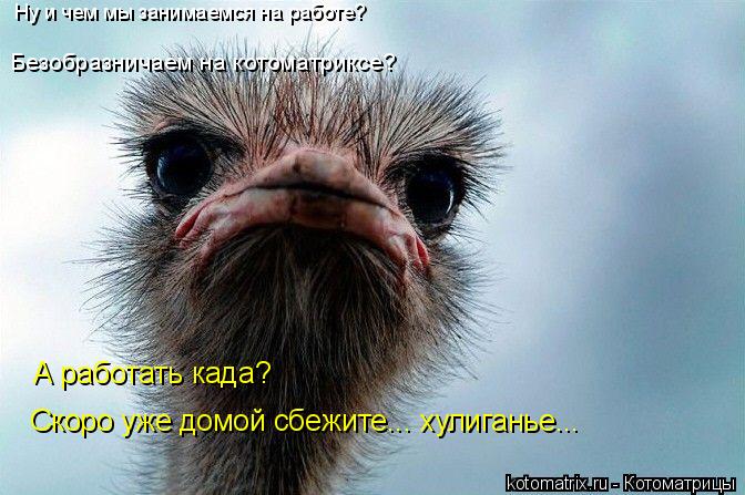 Безобразничаем на котоматриксе? Ну и чем мы занимаемся на работе? А работать када? Скоро уже домой сб... Котоматрица: Безобразничаем на котоматриксе? Ну и чем мы занимаемся на работе? А работать када? Скоро уже домой сбежите... хулиганье...