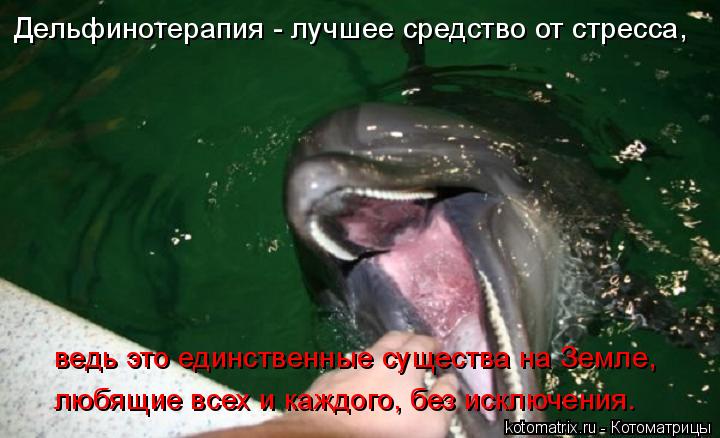 Дельфинотерапия - лучшее средство от стресса, ведь это единственные существа на Земле, любящие всех и... Котоматрица: Дельфинотерапия - лучшее средство от стресса, ведь это единственные существа на Земле, любящие всех и каждого, без исключения.