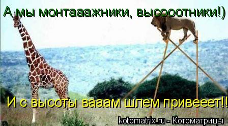 А мы монтааажники, высооотники!) И с высоты вааам шлем привееет!!!... Котоматрица: А мы монтааажники, высооотники!) И с высоты вааам шлем привееет!!!