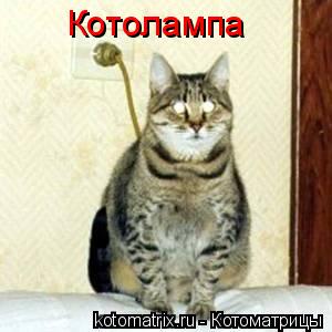 Котолампа... Котоматрица: Котолампа