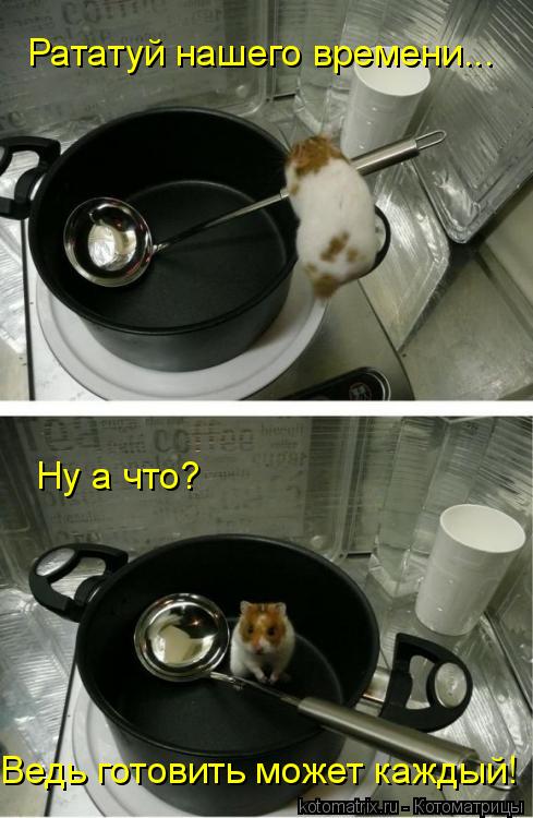 Ну а что? Ведь готовить может каждый! Рататуй нашего времени...... Котоматрица: Ну а что? Ведь готовить может каждый! Рататуй нашего времени...