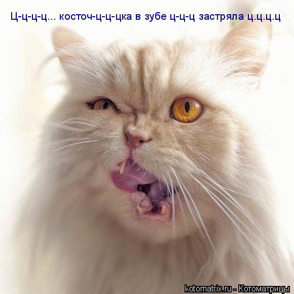 Ц-ц-ц-ц... косточ-ц-ц-цка в зубе ц-ц-ц застряла ц.ц.ц.ц... Котоматрица: Ц-ц-ц-ц... косточ-ц-ц-цка в зубе ц-ц-ц застряла ц.ц.ц.ц