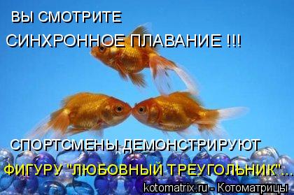 ВЫ СМОТРИТЕ СИНХРОННОЕ ПЛАВАНИЕ !!! СПОРТСМЕНЫ ДЕМОНСТРИРУЮТ ФИГУРУ "ЛЮБОВНЫЙ ТРЕУГОЛЬНИК"...... Котоматрица: ВЫ СМОТРИТЕ СИНХРОННОЕ ПЛАВАНИЕ !!! СПОРТСМЕНЫ ДЕМОНСТРИРУЮТ ФИГУРУ "ЛЮБОВНЫЙ ТРЕУГОЛЬНИК"...