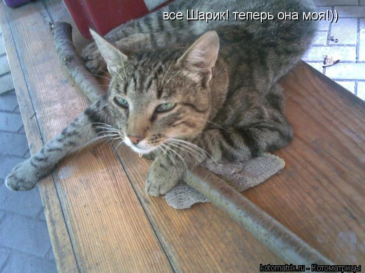 все Шарик! теперь она моя!))... Котоматрица: все Шарик! теперь она моя!))