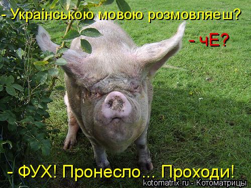 - Украiнською мовою розмовляeш? - чЕ? - ФУХ! Пронесло... Проходи!... Котоматрица: - Украiнською мовою розмовляeш? - чЕ? - ФУХ! Пронесло... Проходи!