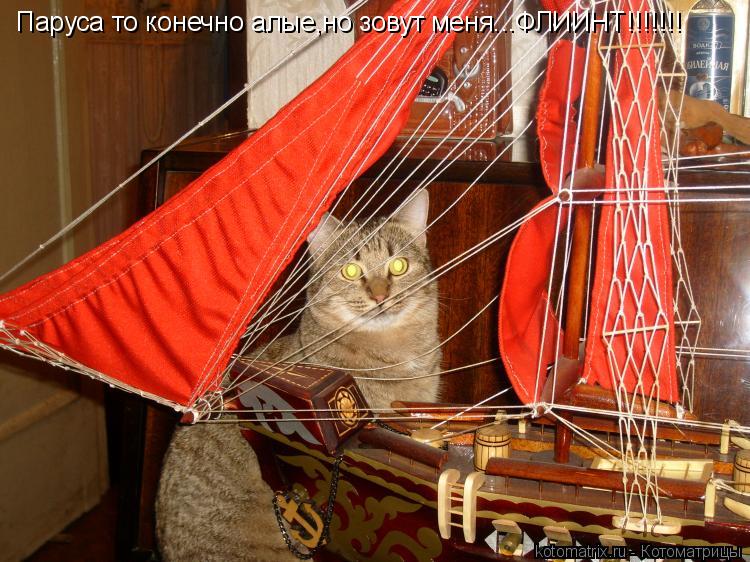 Паруса то конечно алые,но зовут меня...ФЛИИНТ!!!!!!!... Котоматрица: Паруса то конечно алые,но зовут меня...ФЛИИНТ!!!!!!!