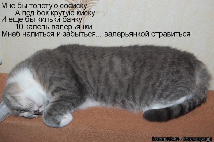 Мне бы толстую сосиску, А под бок крутую киску. И еще бы кильки банку 10 капель валерьянки Мнеб напит... Котоматрица: Мне бы толстую сосиску, А под бок крутую киску. И еще бы кильки банку 10 капель валерьянки Мнеб напиться и забыться... валерьянкой отравиться