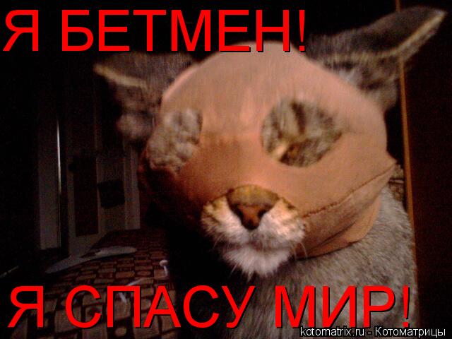 Я БЕТМЕН! Я СПАСУ МИР!... Котоматрица: Я БЕТМЕН! Я СПАСУ МИР!