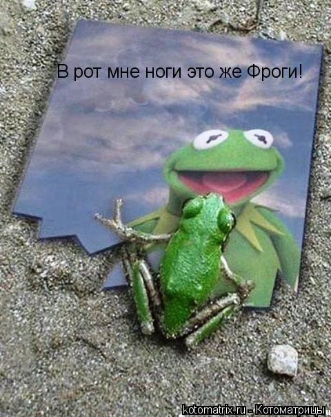 В рот мне ноги это же Фроги!... Котоматрица: В рот мне ноги это же Фроги!