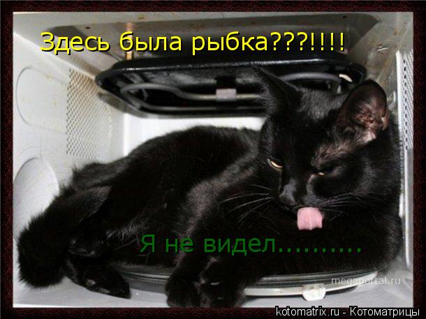 Здесь была рыбка???!!!! Я не видел............. Котоматрица: Здесь была рыбка???!!!! Я не видел..........