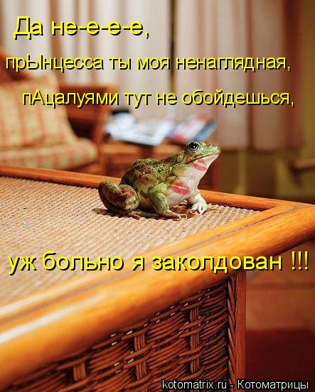 Да не-е-е-е, прЫнцесса ты моя ненаглядная, пАцалуями тут не обойдешься, уж больно я заколдован !!!... Котоматрица: Да не-е-е-е, прЫнцесса ты моя ненаглядная, пАцалуями тут не обойдешься, уж больно я заколдован !!!