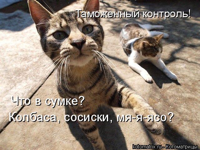 Котоматрица: Таможенный контроль! Что в сумке? Колбаса, сосиски, мя-я-ясо?