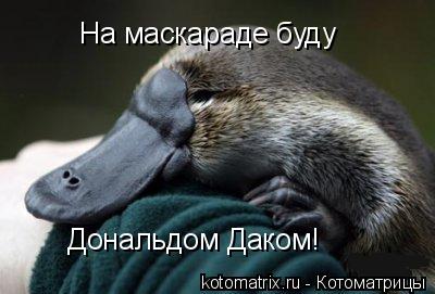 На маскараде буду Дональдом Даком!... Котоматрица: На маскараде буду Дональдом Даком!