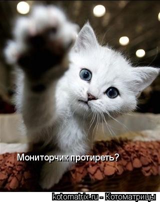 Мониторчик протиреть?... Котоматрица: Мониторчик протиреть?