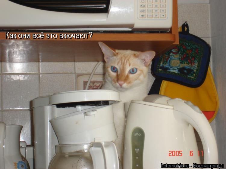 Как они всё это вкючают?... Котоматрица: Как они всё это вкючают?